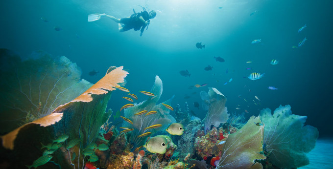 Ten Best Caribbean Scuba Diving Charters on Catamarans